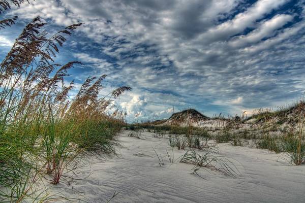 Cape San Blas Beach Cape San Blas Beach
