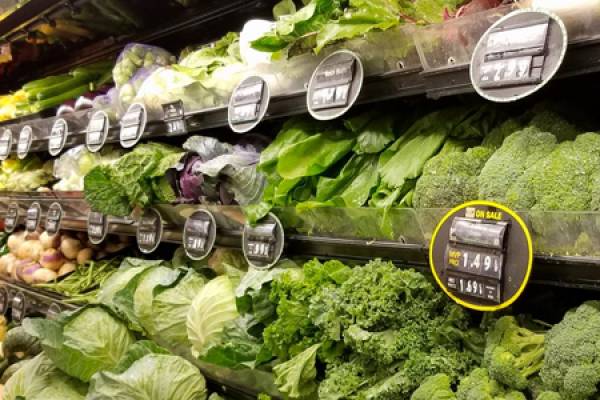 Grocery Stores on Cape San Blas Grocery Stores on Cape San Blas