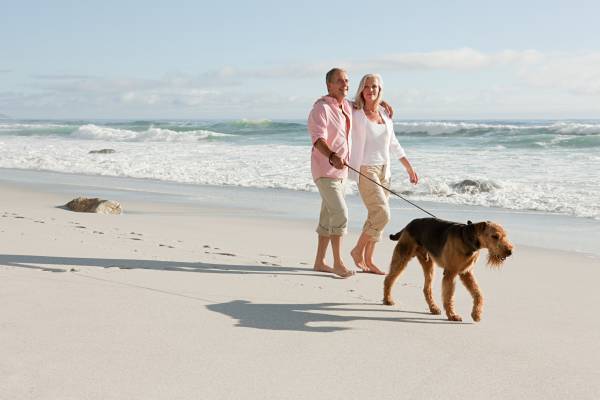 Cape San Blas Pet Friendly Beach Cape San Blas Pet Friendly Beach