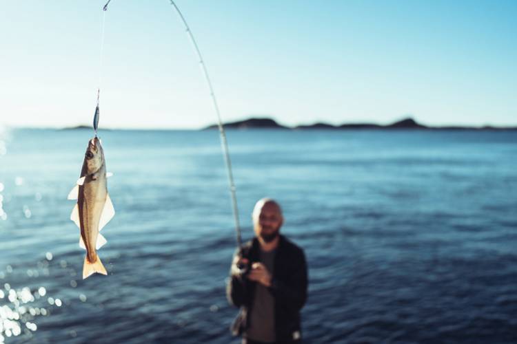 freshwater fishing