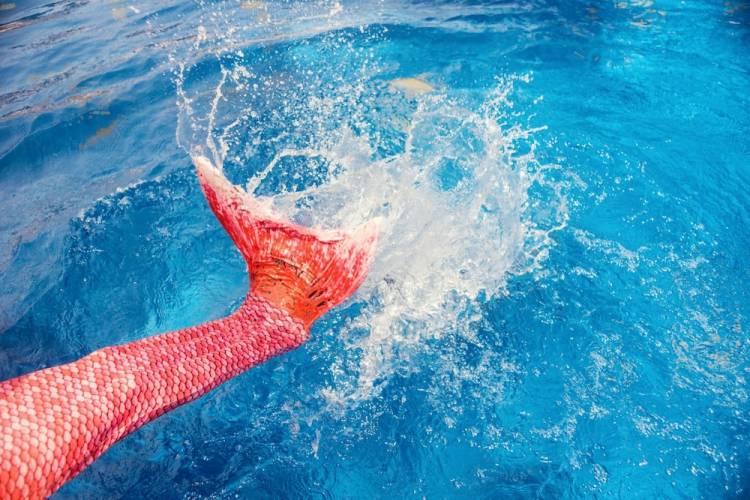 mermaid tail splashing water