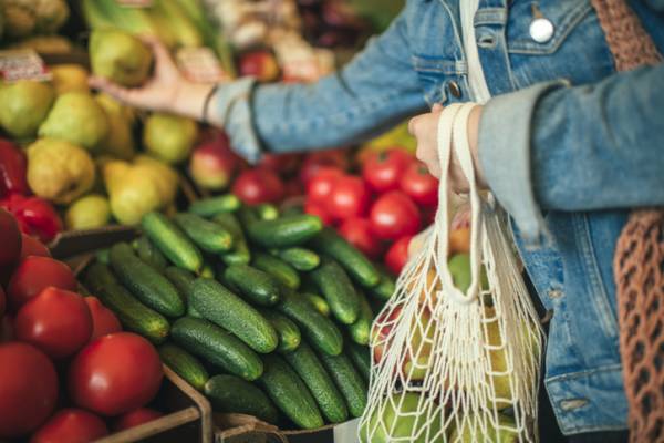 cape san blas farmers market, st joes bay farmers market