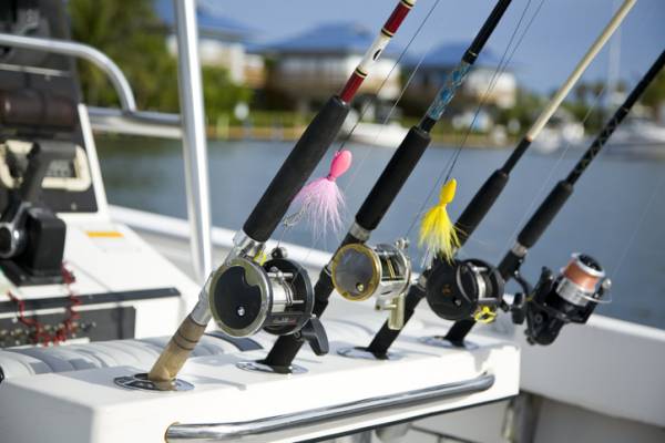 license free saltwater fishing st joes bay, license free saltwater fishing florida