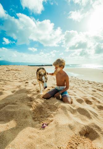 kid and dog on beach in cape san blas