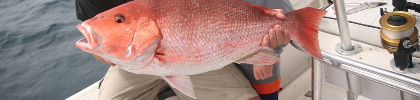 Cape San Blas Fishing