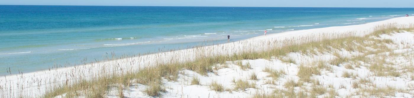 Cape San Blas Coastline